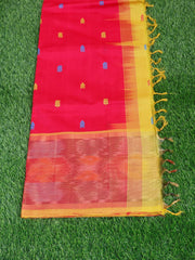 Kanchipuram Silk Cotton