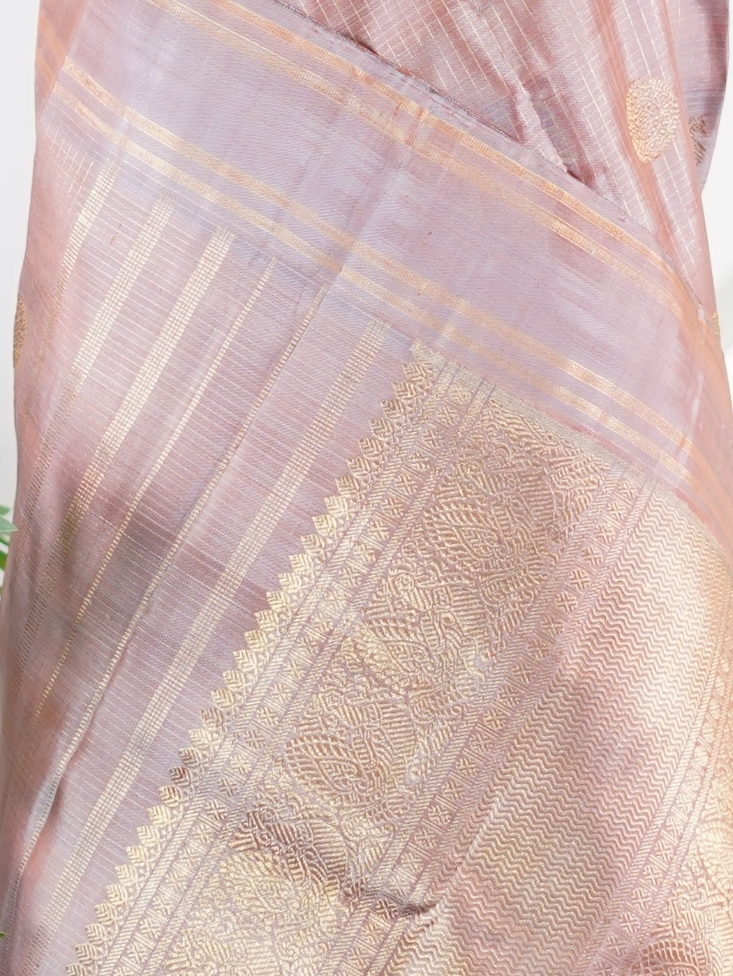 Kanchipuram Silk Light Brown 100% Pure Silk  - Manoranjitham Weaves - Handloom Store
