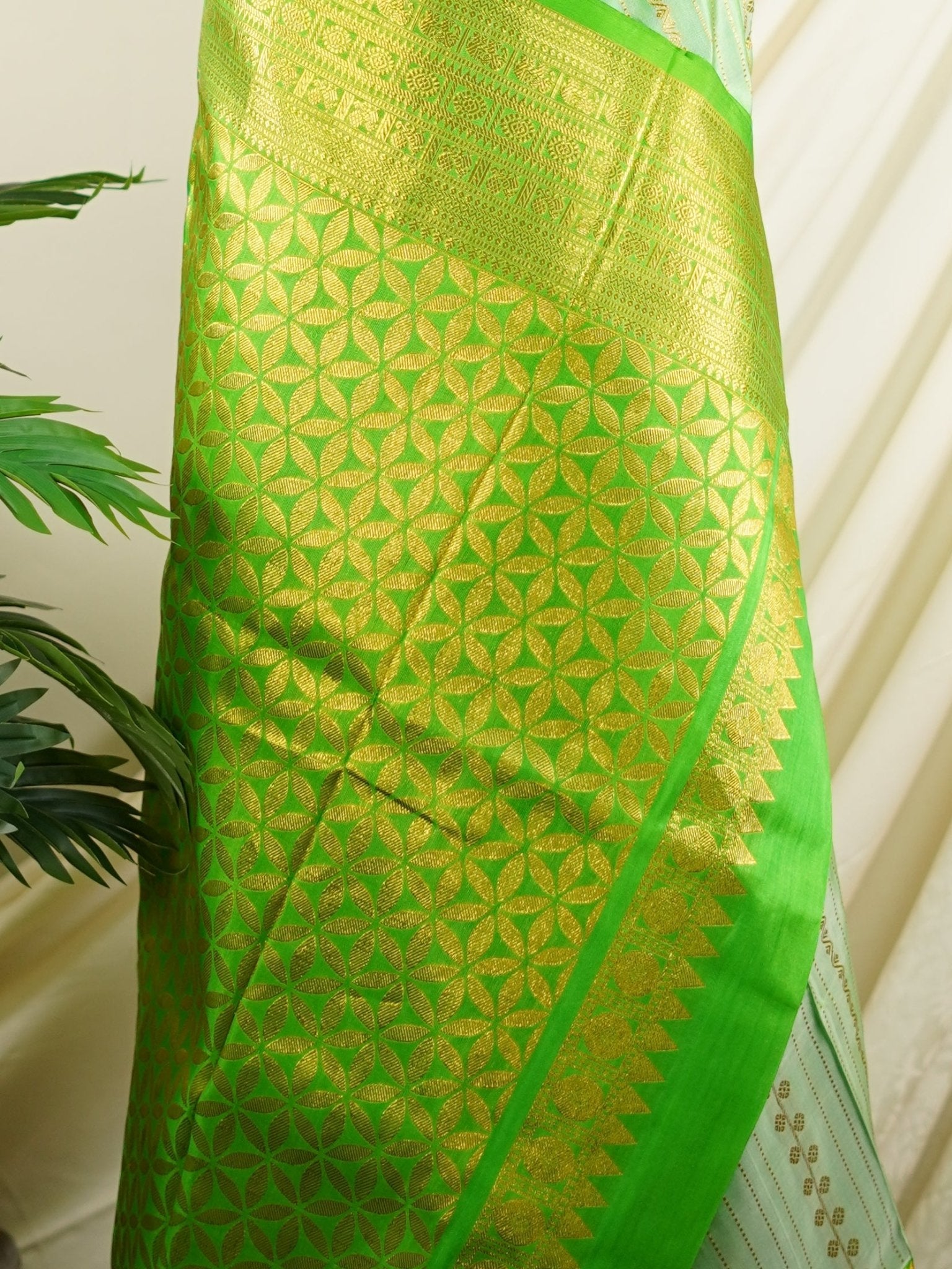 Venkatagiri Silk Creamish Green 100% Pure Silk  - Manoranjitham Weaves - Handloom Store
