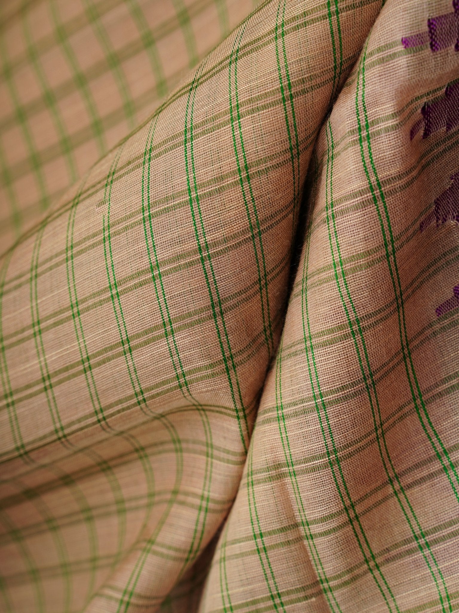 Tissue  100% Pure Silk  Manoranjitham Weaves - Handloom Store