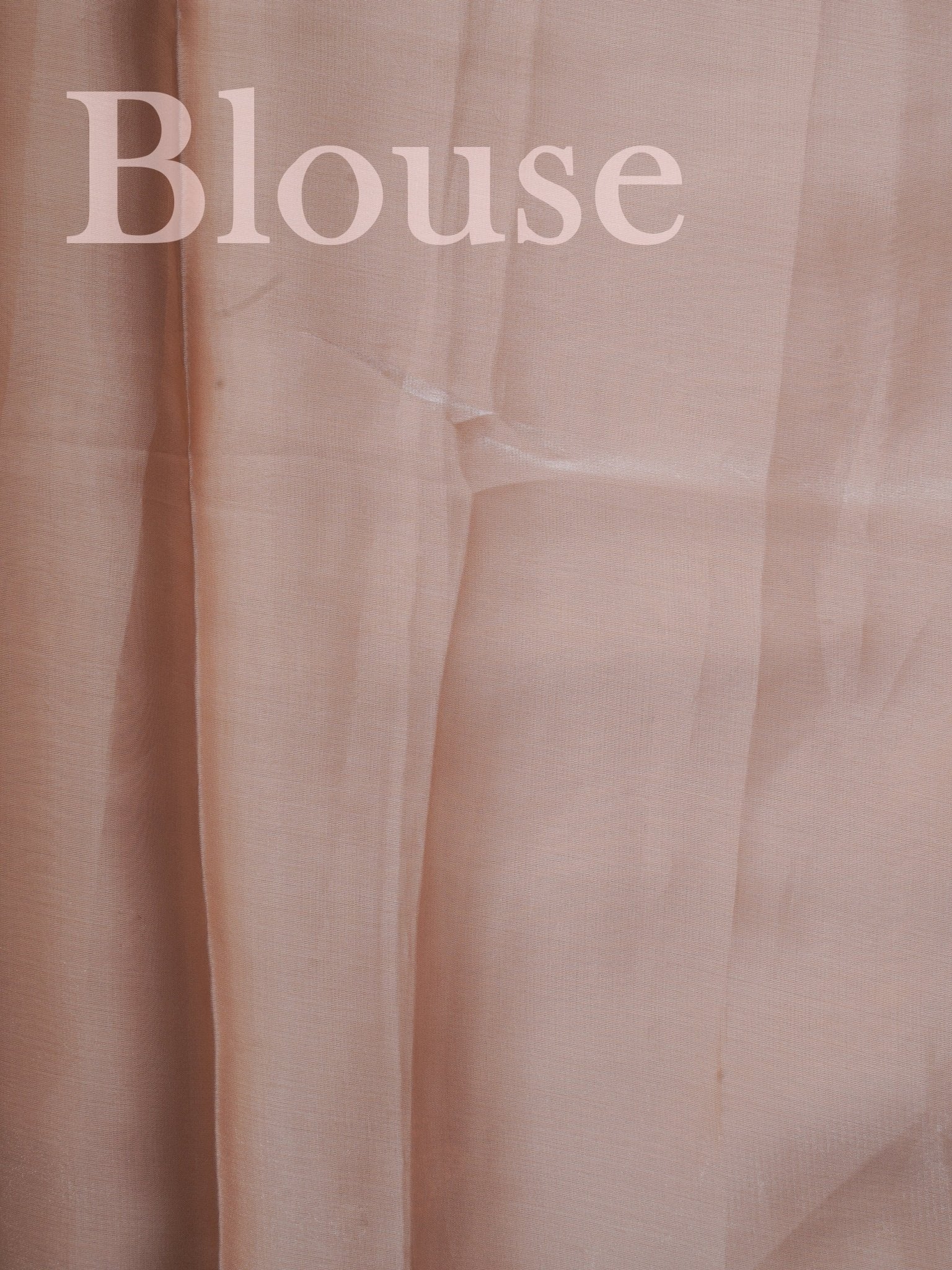 Katan Beige Glass Tissue Manoranjitham Weaves - Handloom Store