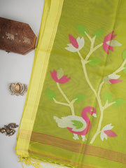 Cotton Green 100% Pure Cotton