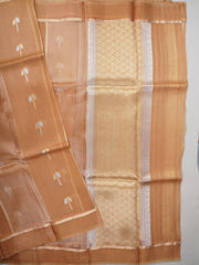 Katan Gold Kora Tissue Manoranjitham Weaves - Handloom Store