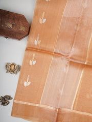 Katan Gold Kora Tissue Manoranjitham Weaves - Handloom Store