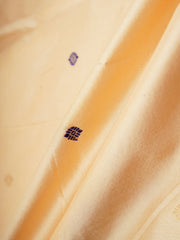 Narayanpet  100% Pure Silk  Manoranjitham Weaves - Handloom Store